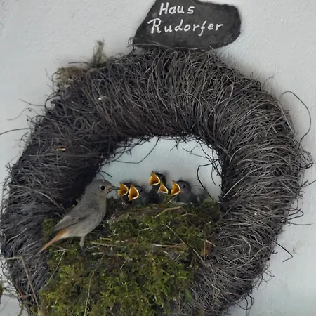 Gasthof Ferienweingut Rudorfer *