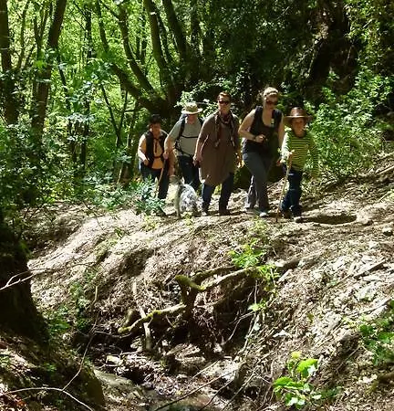 Pensión Ferienweingut Rudorfer 3*