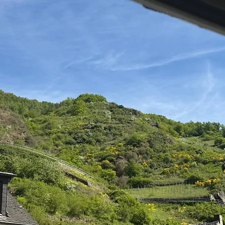 בית הארחה Ferienweingut Rudorfer