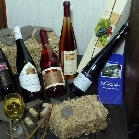 Ferienweingut Rudorfer ולוויג