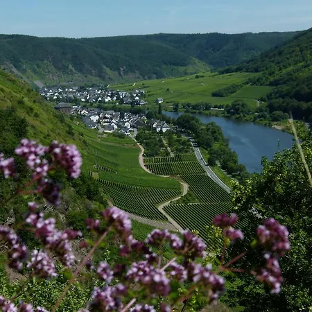 Gasthof Ferienweingut Rudorfer Valwig