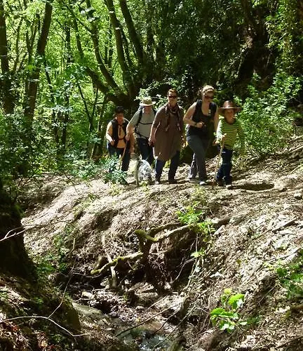 Gasthuis Ferienweingut Rudorfer 3*