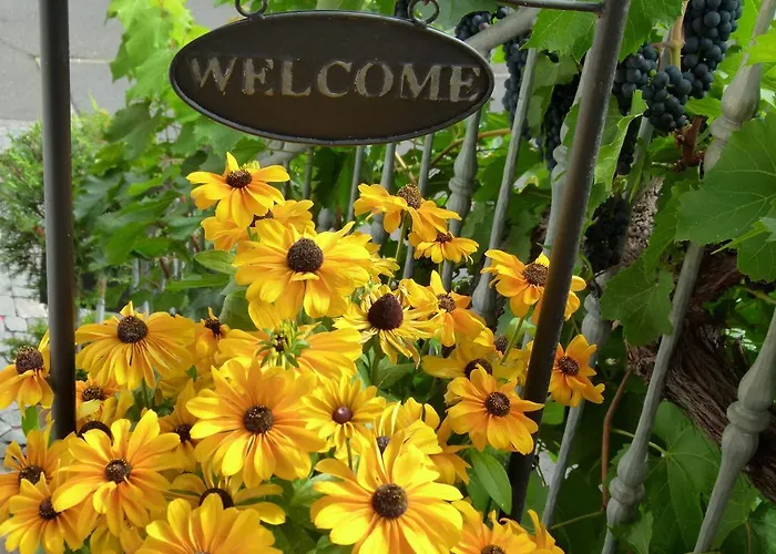 Ferienweingut Rudorfer