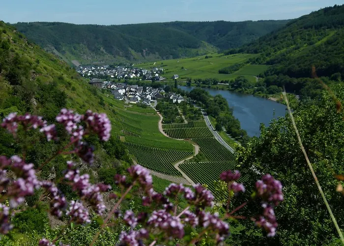 Gasthuis Ferienweingut Rudorfer Valwig